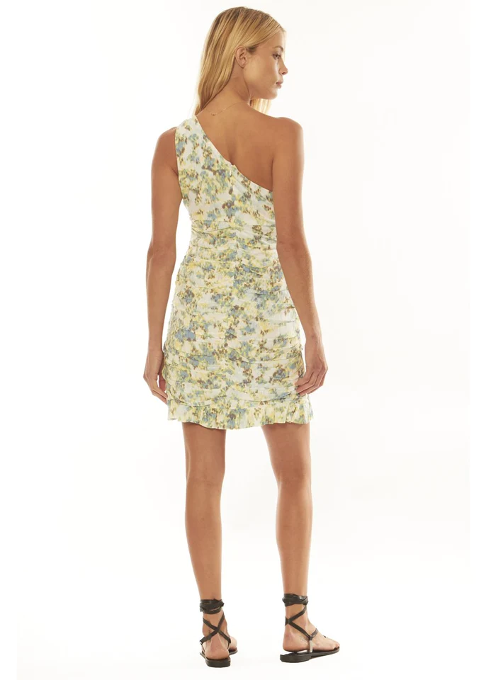 Amuse Society Oasis Dress - Sky